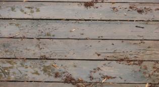 Debris and build up on deck